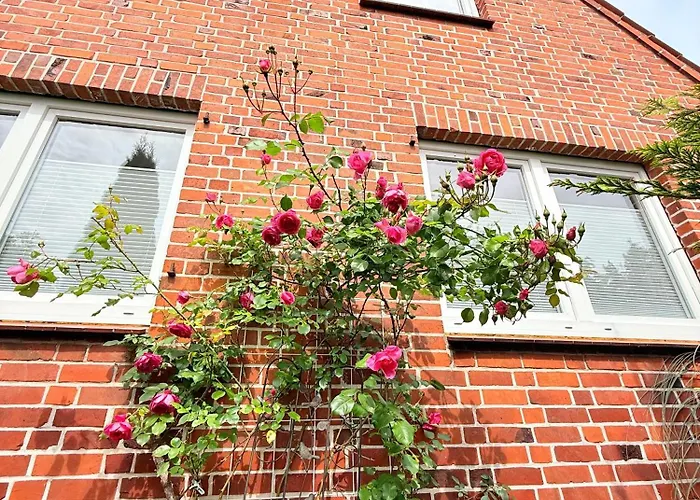 Ferienhaus Sauna, Kamin, Billard