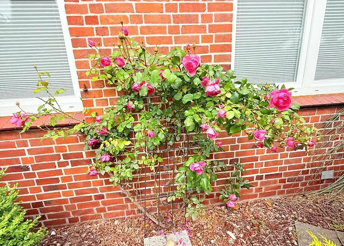 Ferienhaus Sauna, Kamin, Billard